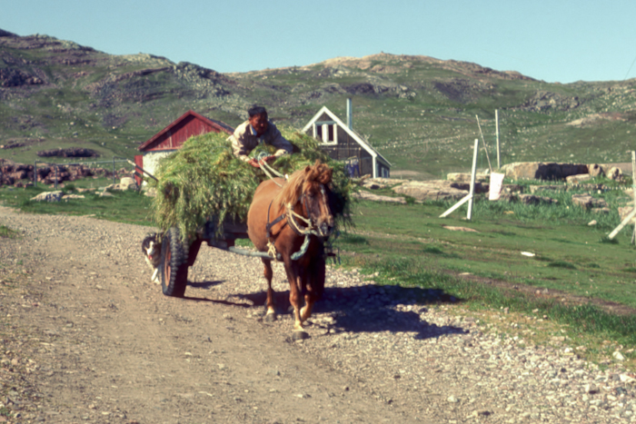 Transport at Igalico