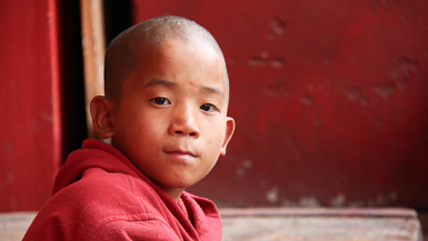 Novice buddhist monk