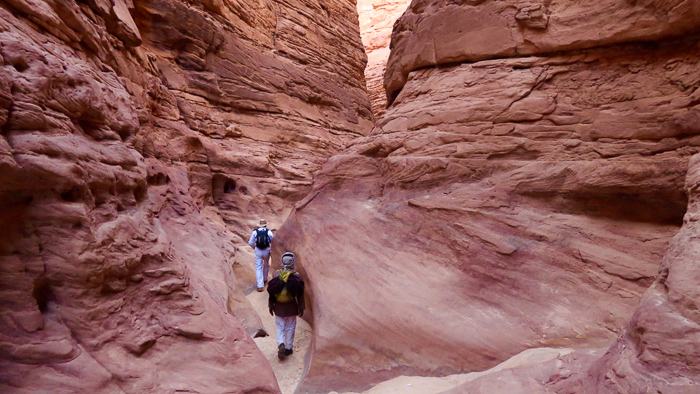 Sinai wadis