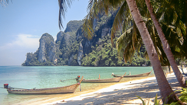 Phi Phi Island