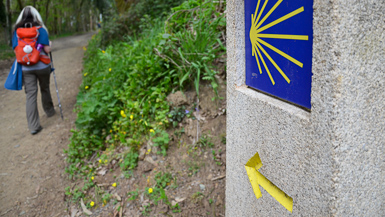 Camino